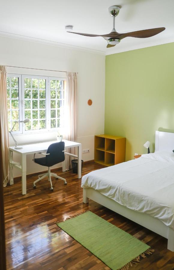 Lava Acores Coliving & Coworking リベイラ・グランデ エクステリア 写真