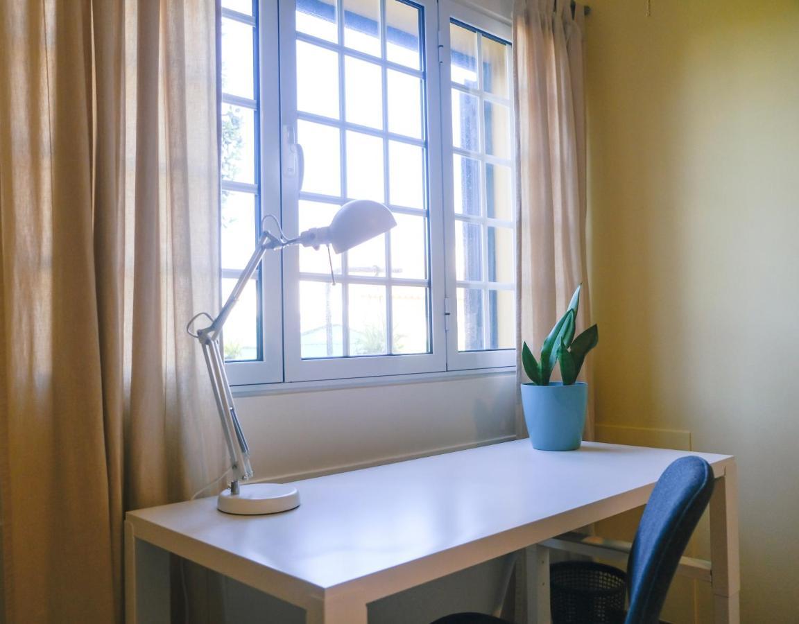 Lava Acores Coliving & Coworking リベイラ・グランデ エクステリア 写真