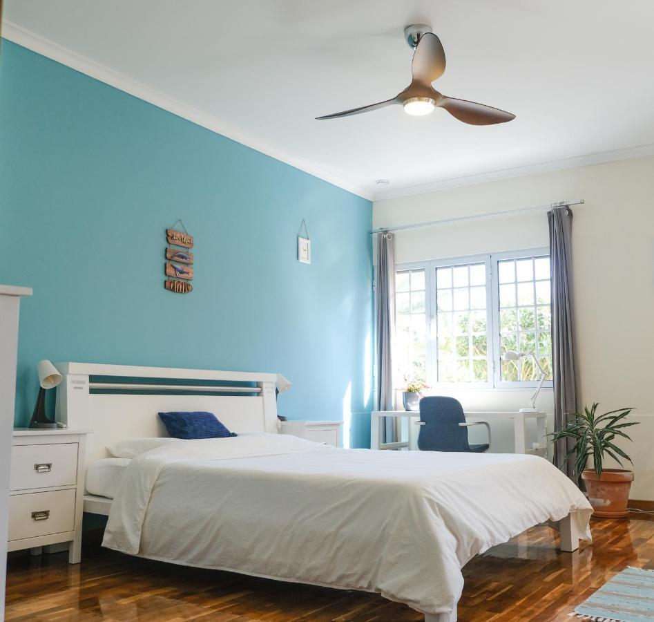 Lava Acores Coliving & Coworking リベイラ・グランデ エクステリア 写真