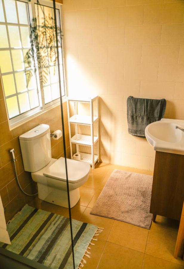 Lava Acores Coliving & Coworking リベイラ・グランデ エクステリア 写真