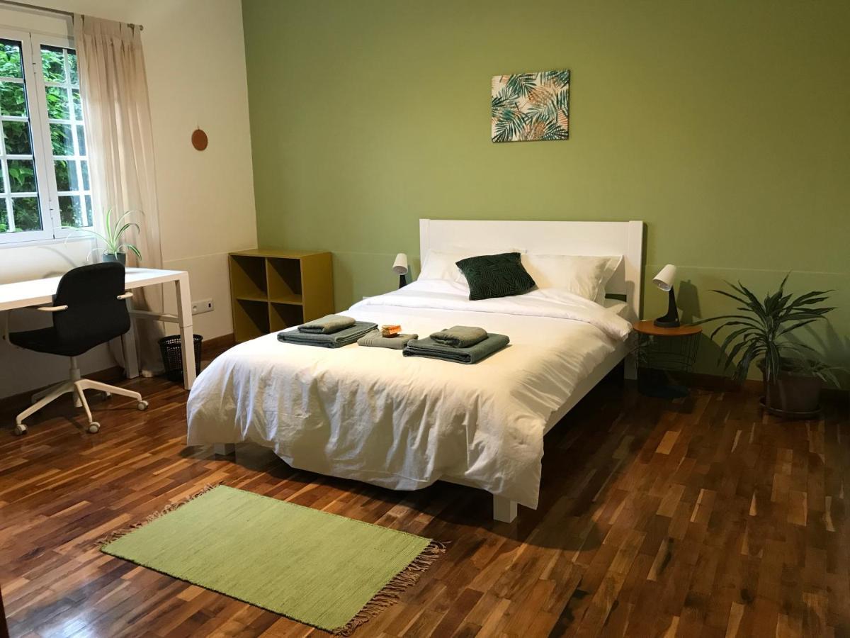 Lava Acores Coliving & Coworking リベイラ・グランデ エクステリア 写真